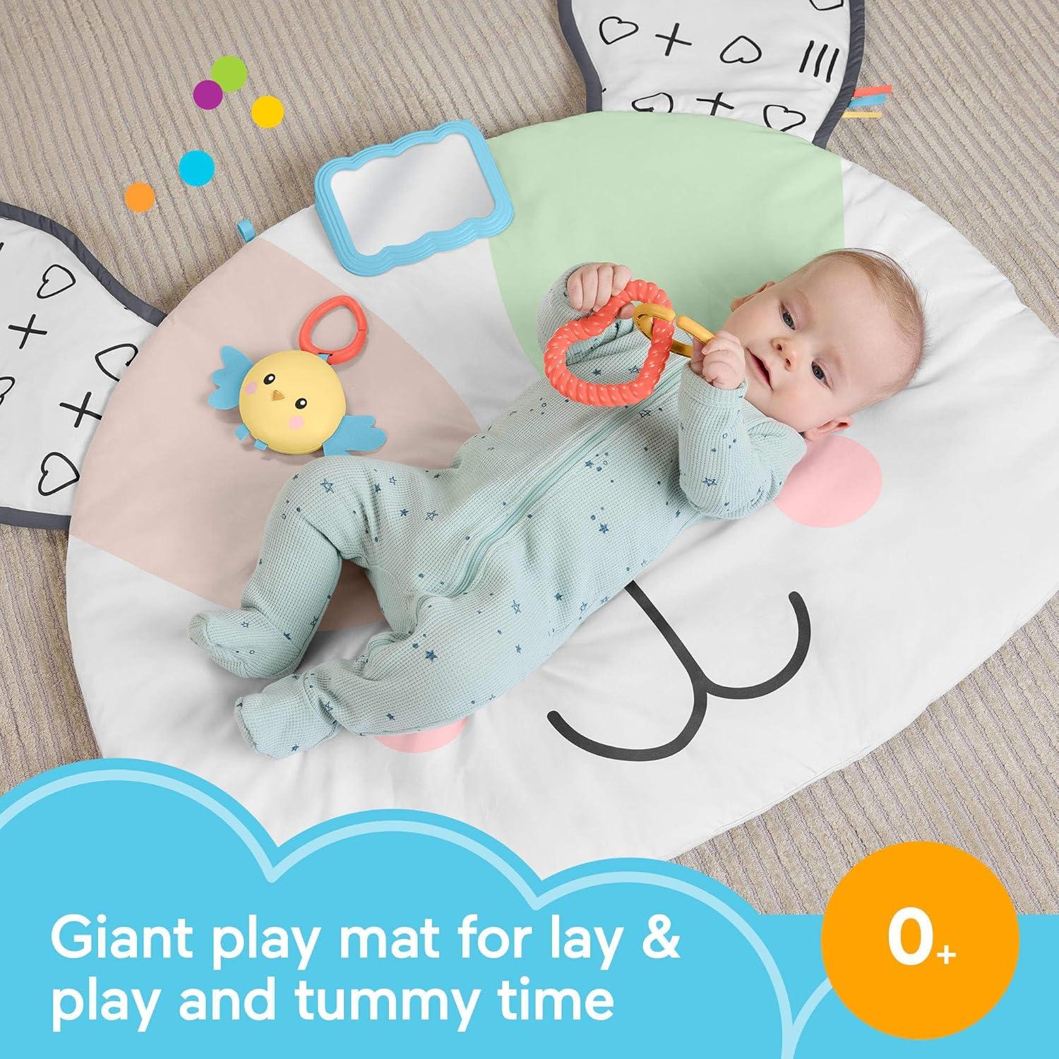 imageFisherPrice Baby Tummy Time Toy Puppy Perfection Giant Play Mat with Sensory Development Activities for Newborns 0 Months Amazon Exclusive