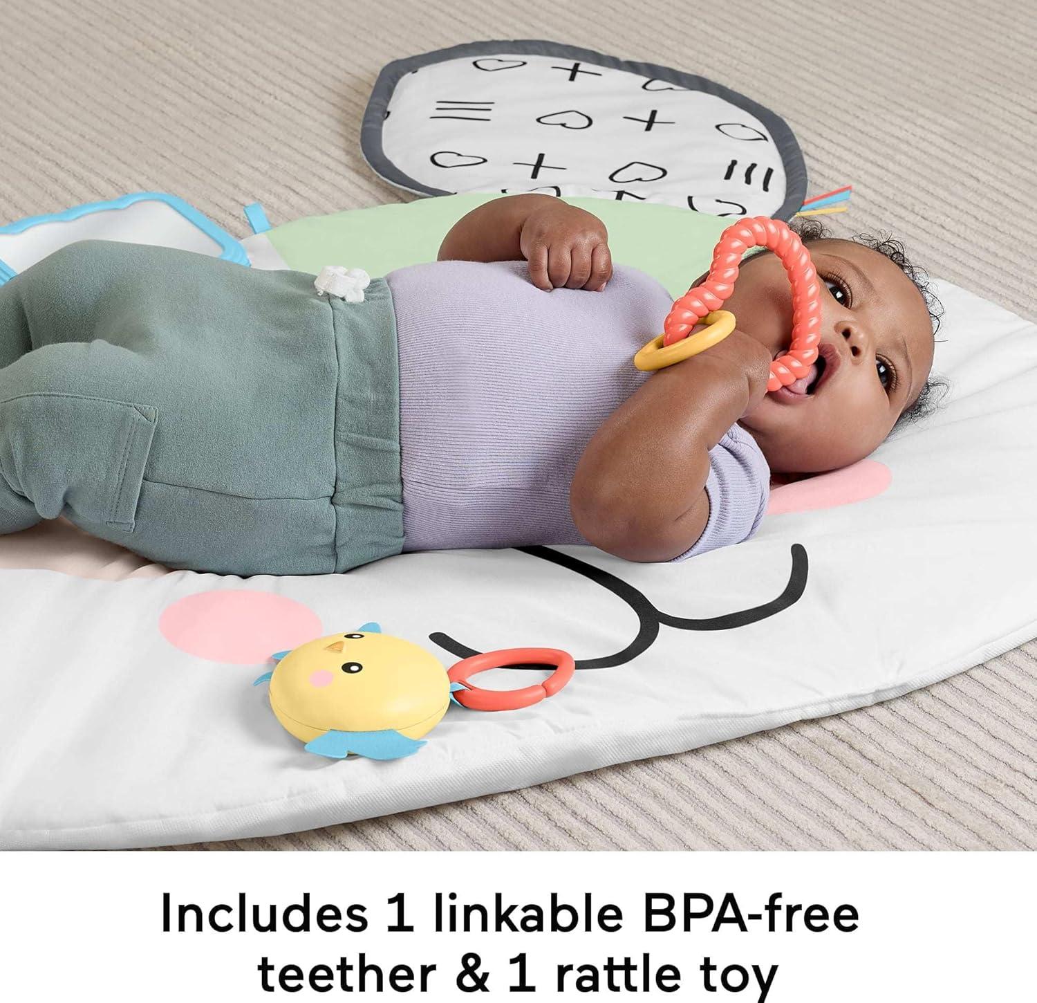 imageFisherPrice Baby Tummy Time Toy Puppy Perfection Giant Play Mat with Sensory Development Activities for Newborns 0 Months Amazon Exclusive