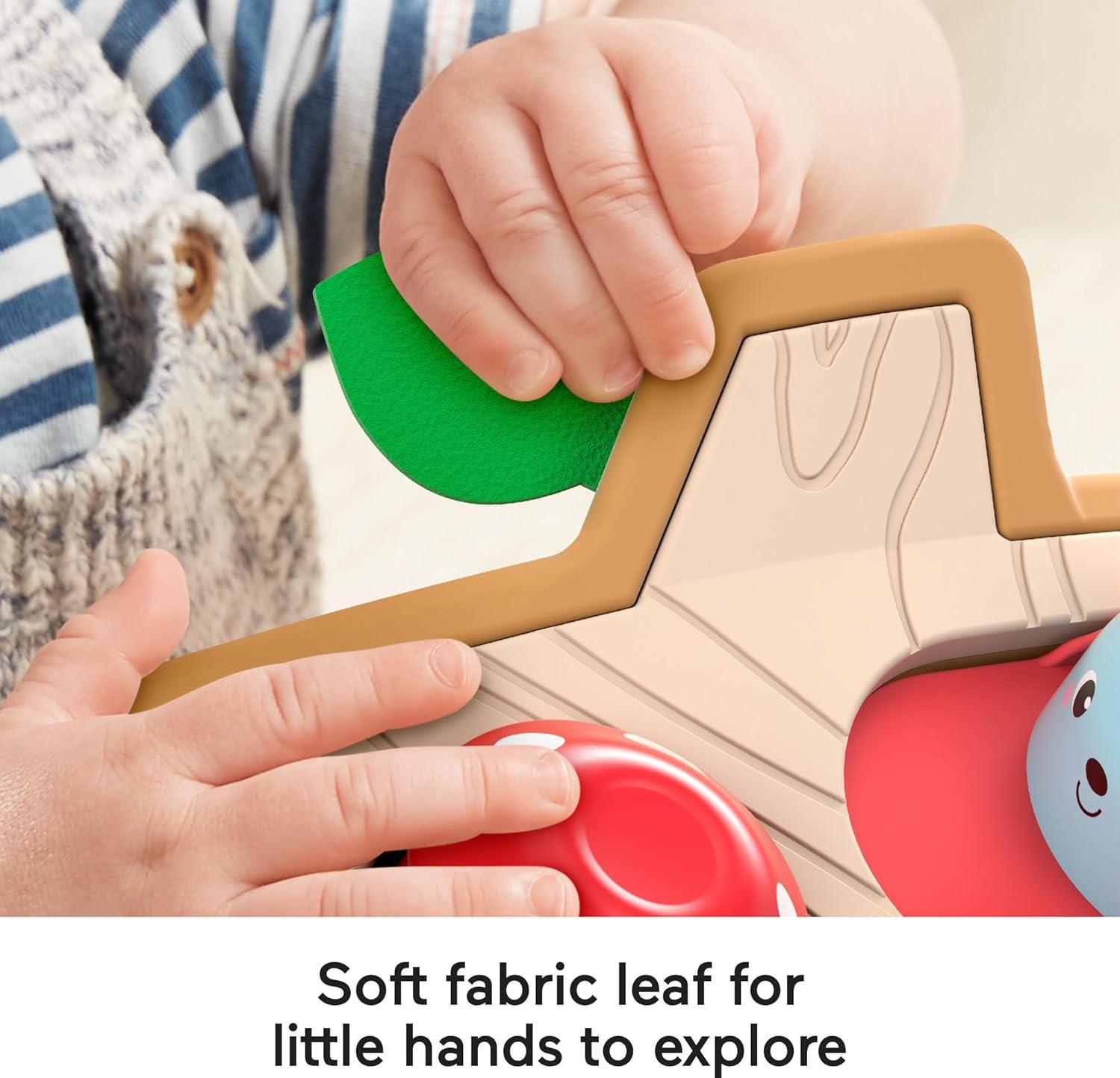 imageFisherPrice Baby Toy Hide amp Peek PopUp AnimalThemed Sensory Activity with Wood Accents amp Sounds for Ages 9 Months Amazon Exclusive