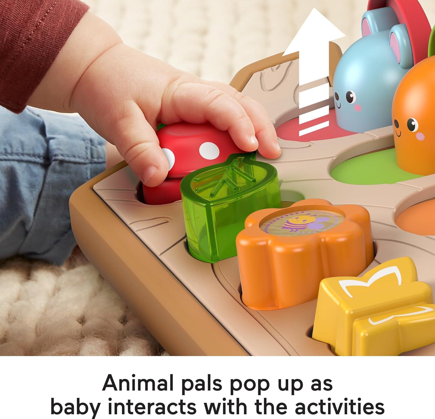 imageFisherPrice Baby Toy Hide amp Peek PopUp AnimalThemed Sensory Activity with Wood Accents amp Sounds for Ages 9 Months Amazon Exclusive