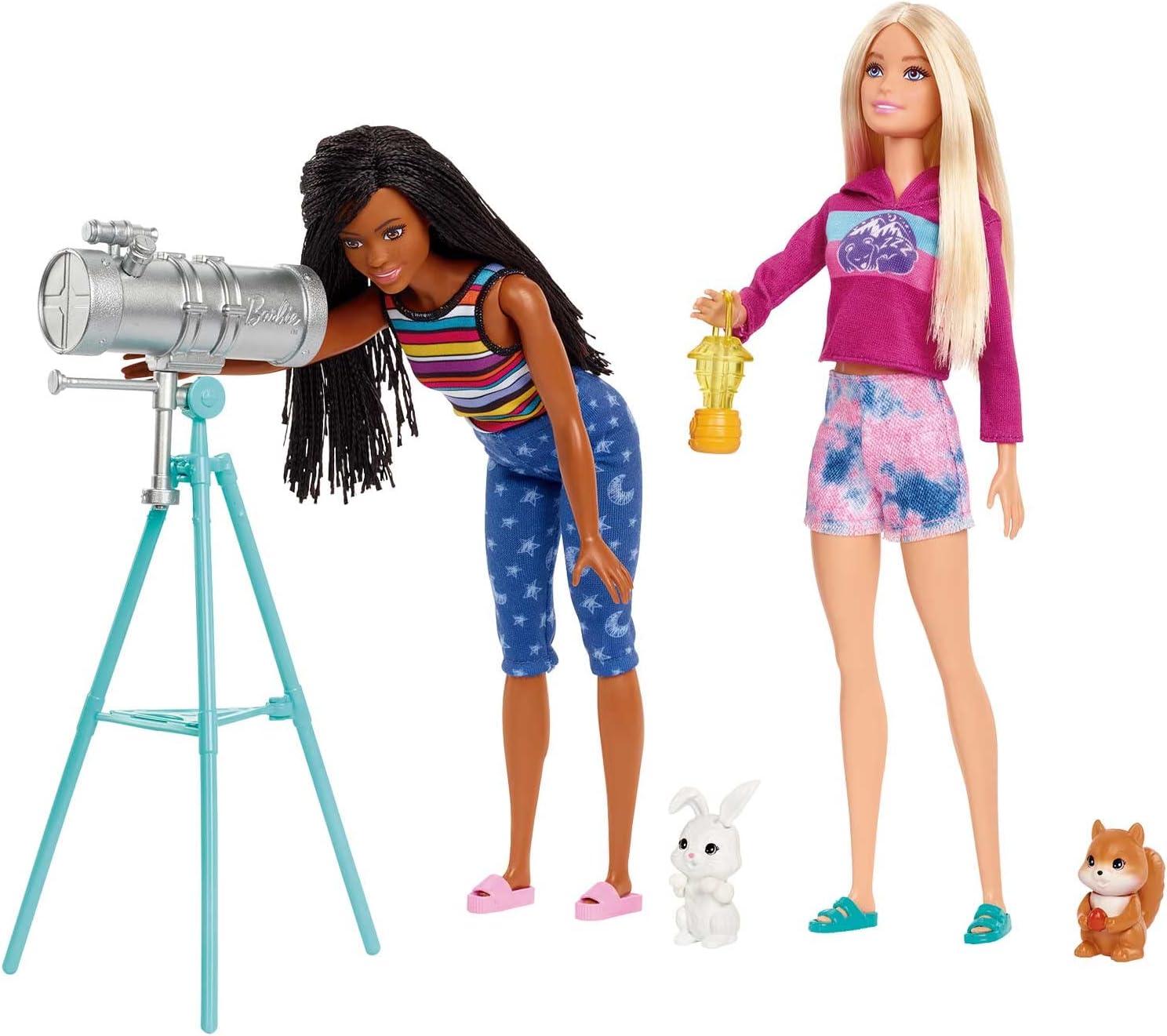 imageBarbie Dolls amp 20 Accessories It Takes Two Camping Tent Playset with Brooklyn amp Malibu Plus 2 Moving Animals Amazon Exclusive